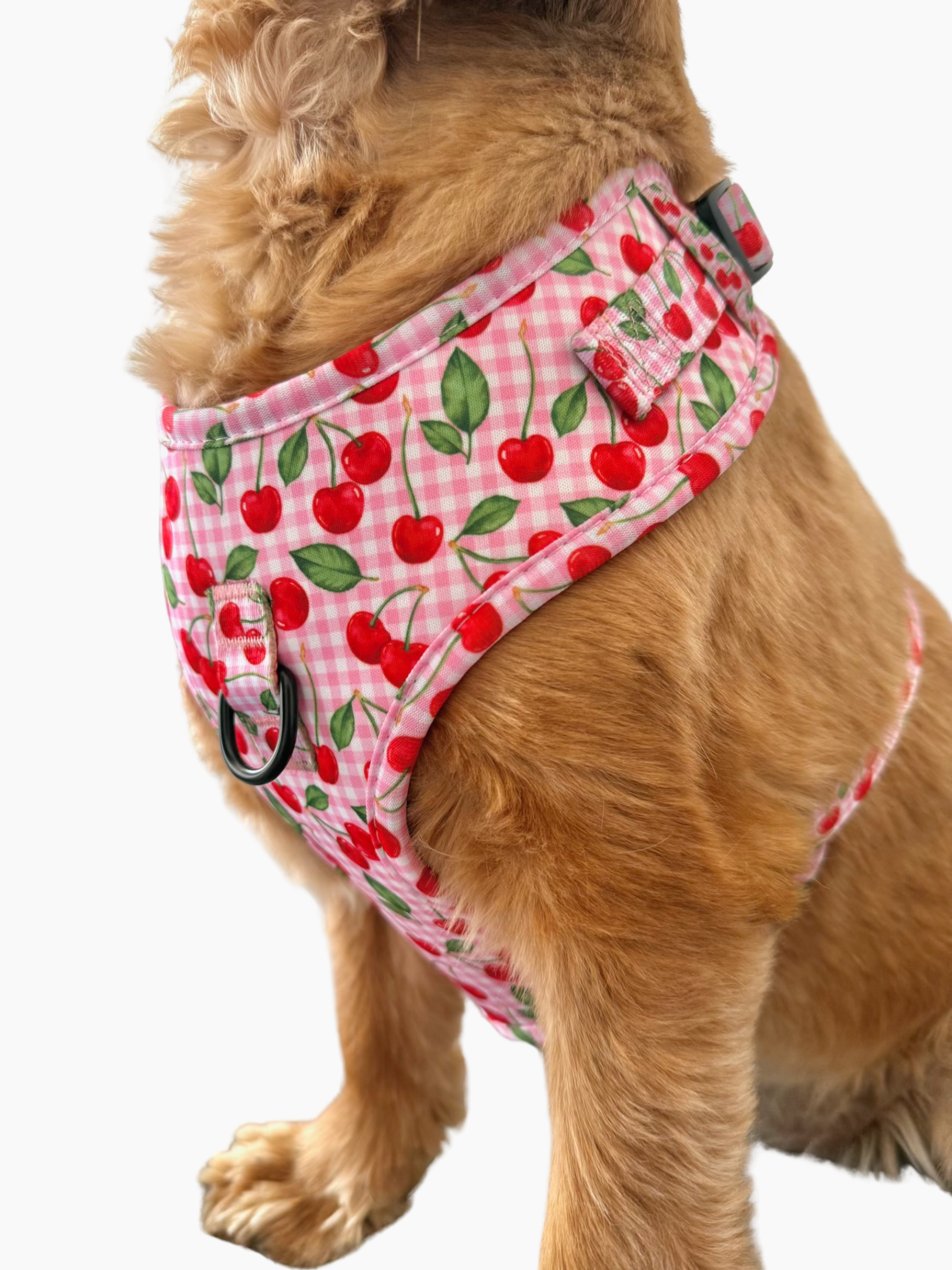 Harnais pour chien - Cherry Love