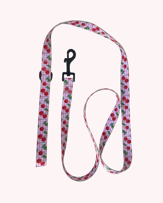 Laisse pour chien
