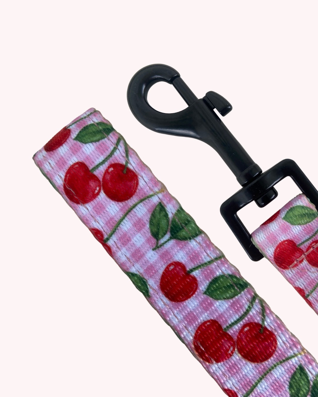 🍒 Pack harnais + laisse