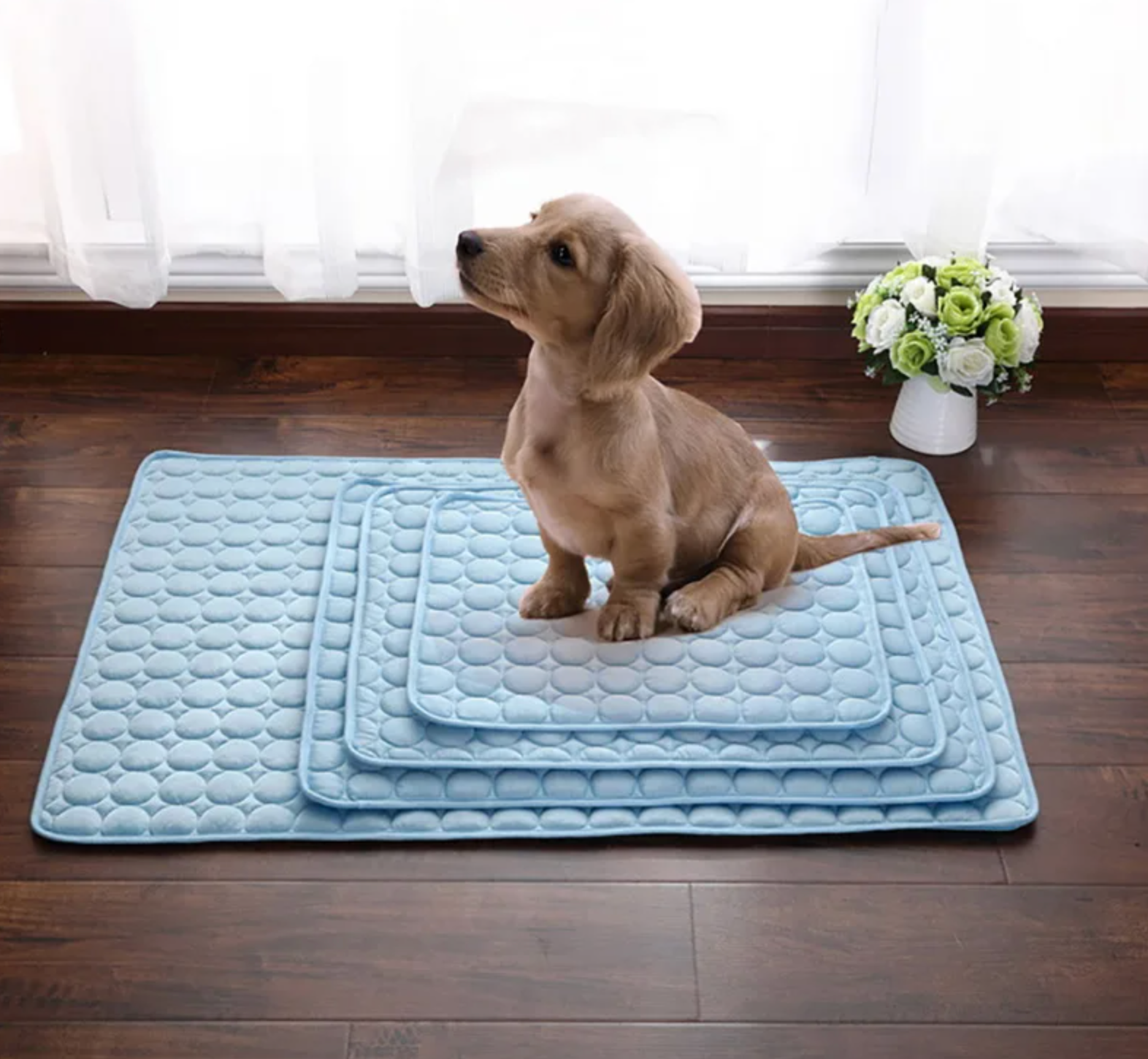 Tapis rafraichissant pour animaux