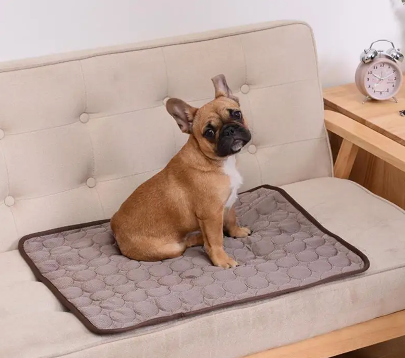 Tapis rafraichissant pour animaux