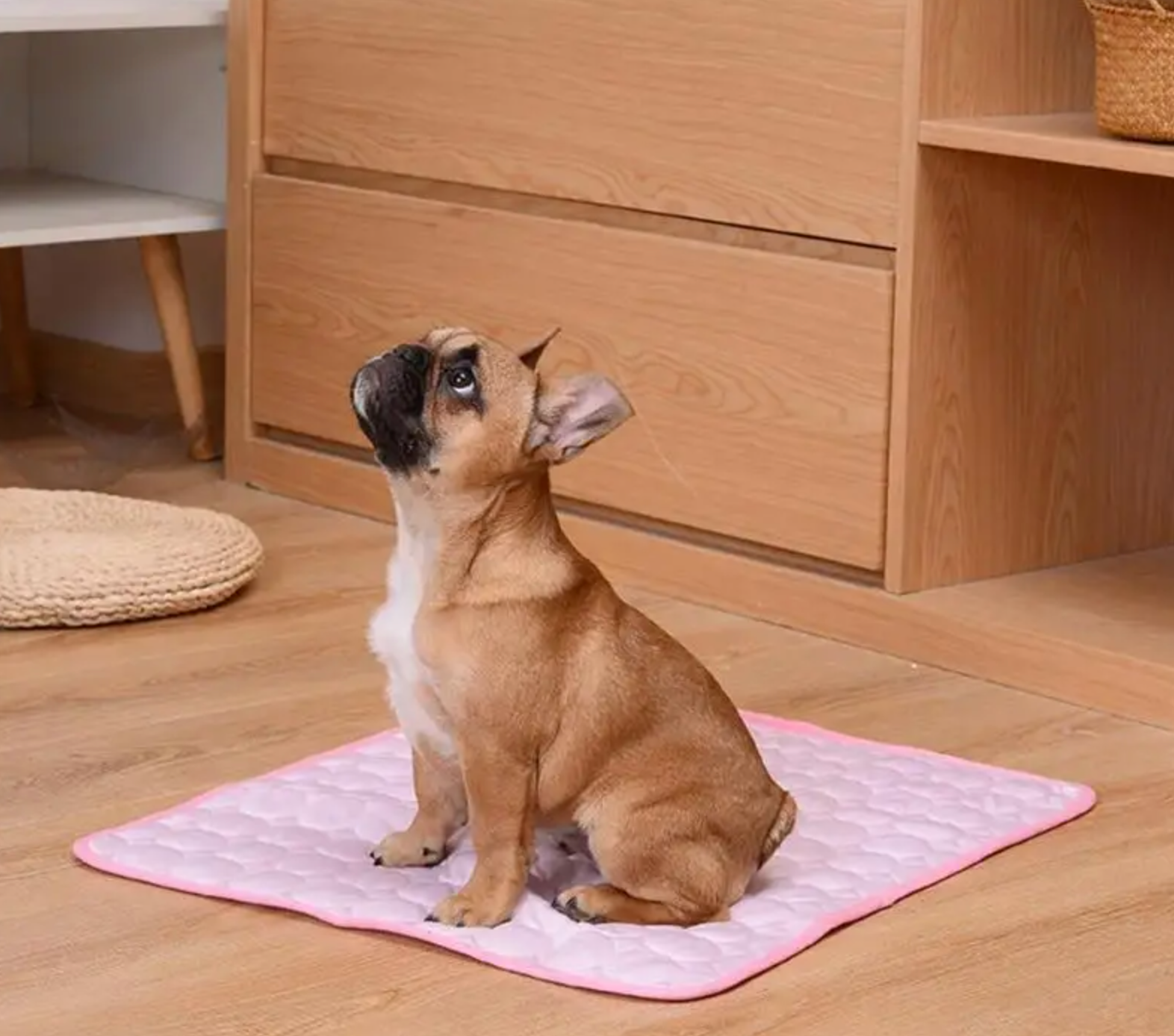 Tapis rafraichissant pour animaux