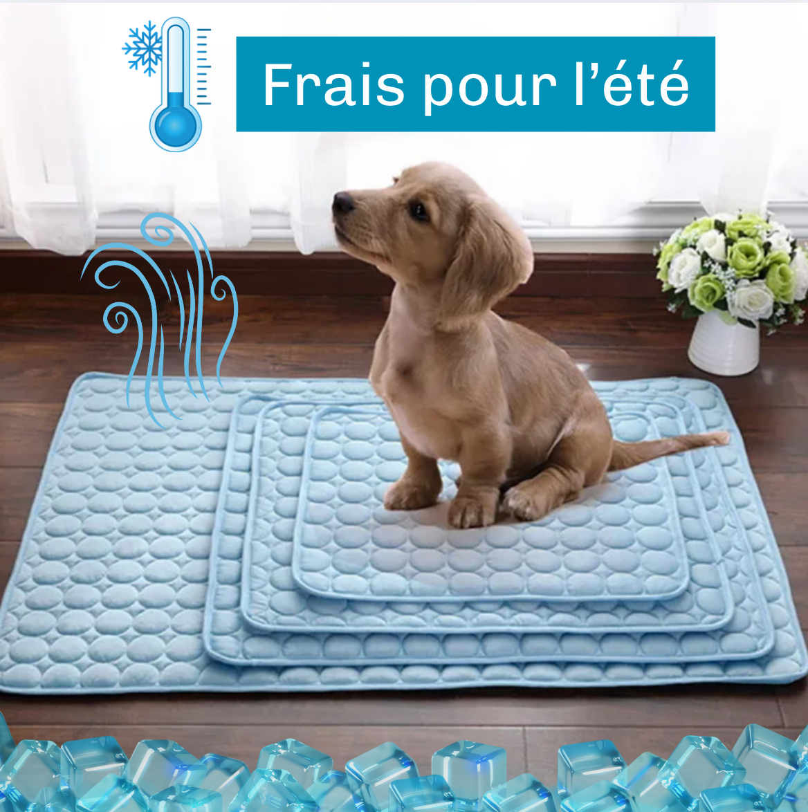Tapis rafraichissant pour animaux