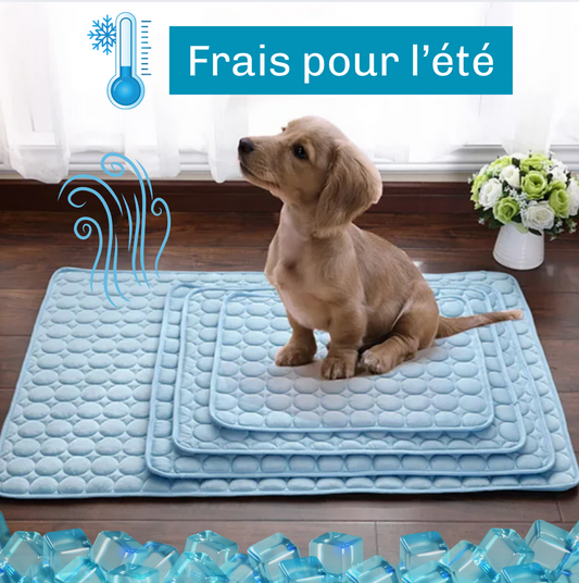Tapis rafraichissant pour animaux